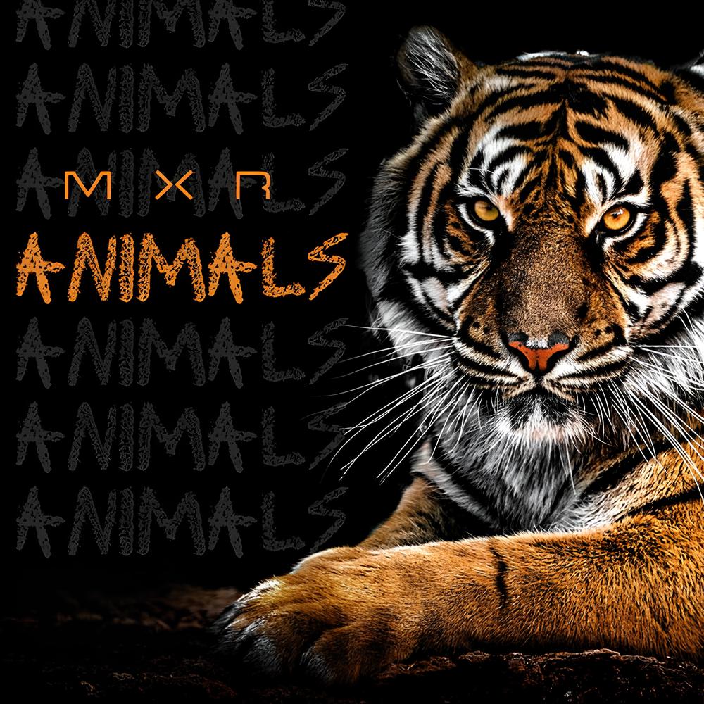 Animals cover art